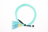 12F MPO/MTP-6*DX LC Fanout Cable
