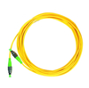 Patch Cord