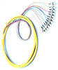 Fiber Optic Pigtail（12 Fibers）