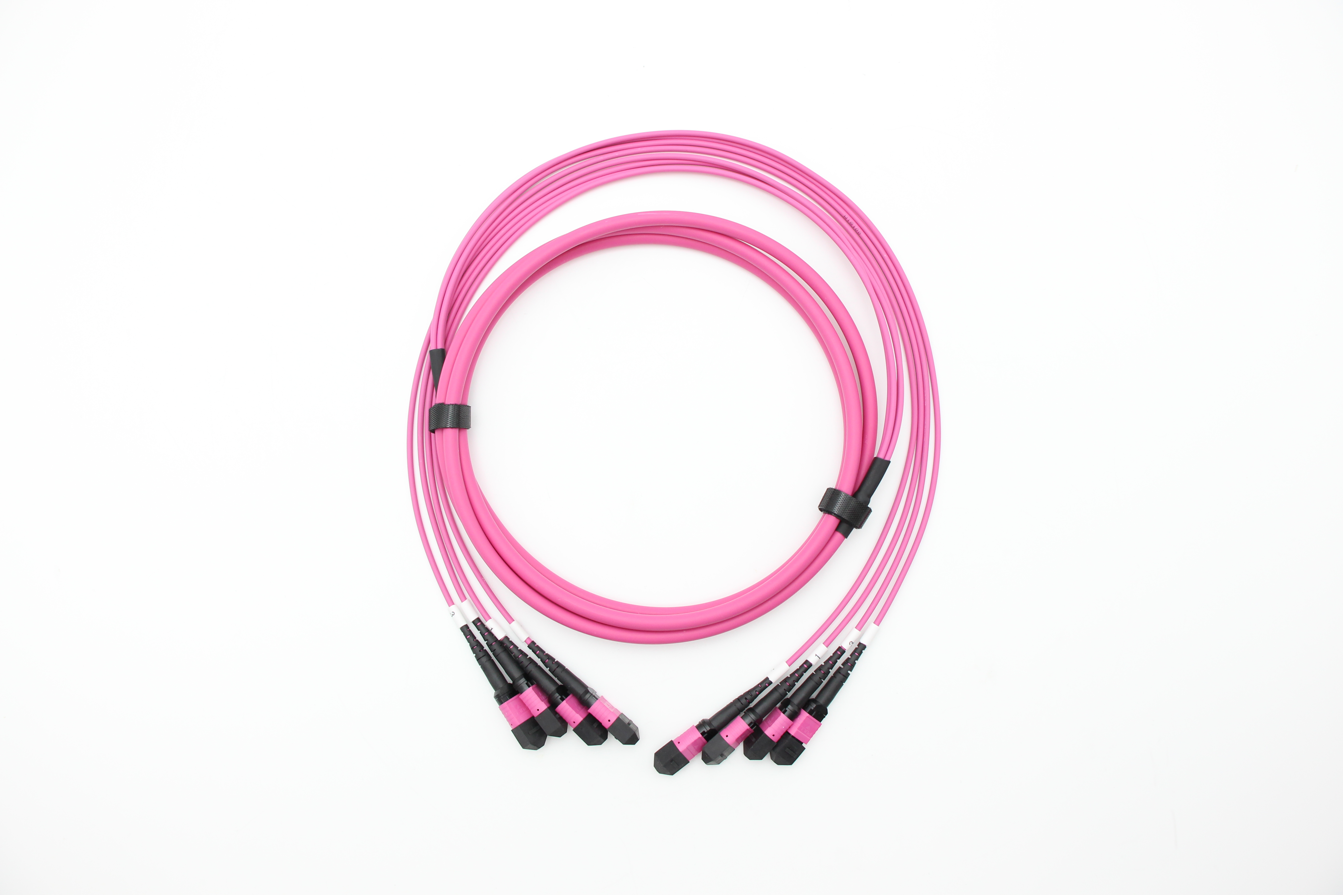 MPO/MTP trunk Cable
