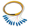 Fiber Optic Pigtail（12 Fibers）