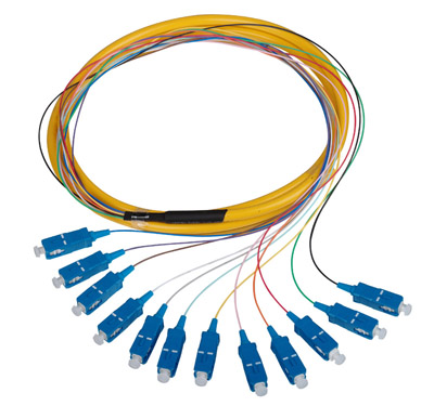 Fiber Optic Pigtail（12 Fibers）